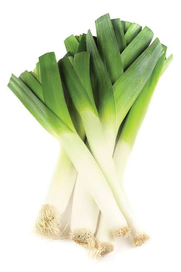 Leek